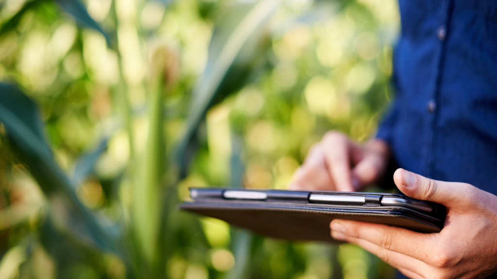 erros de gestão no agronegócio