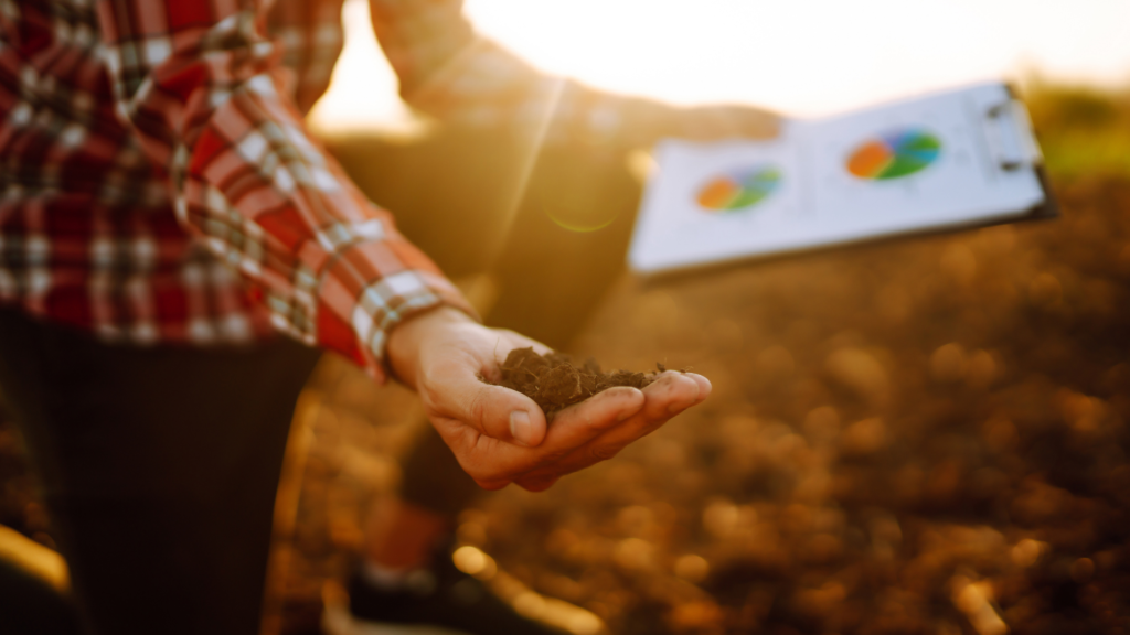 gestão financeira no agro