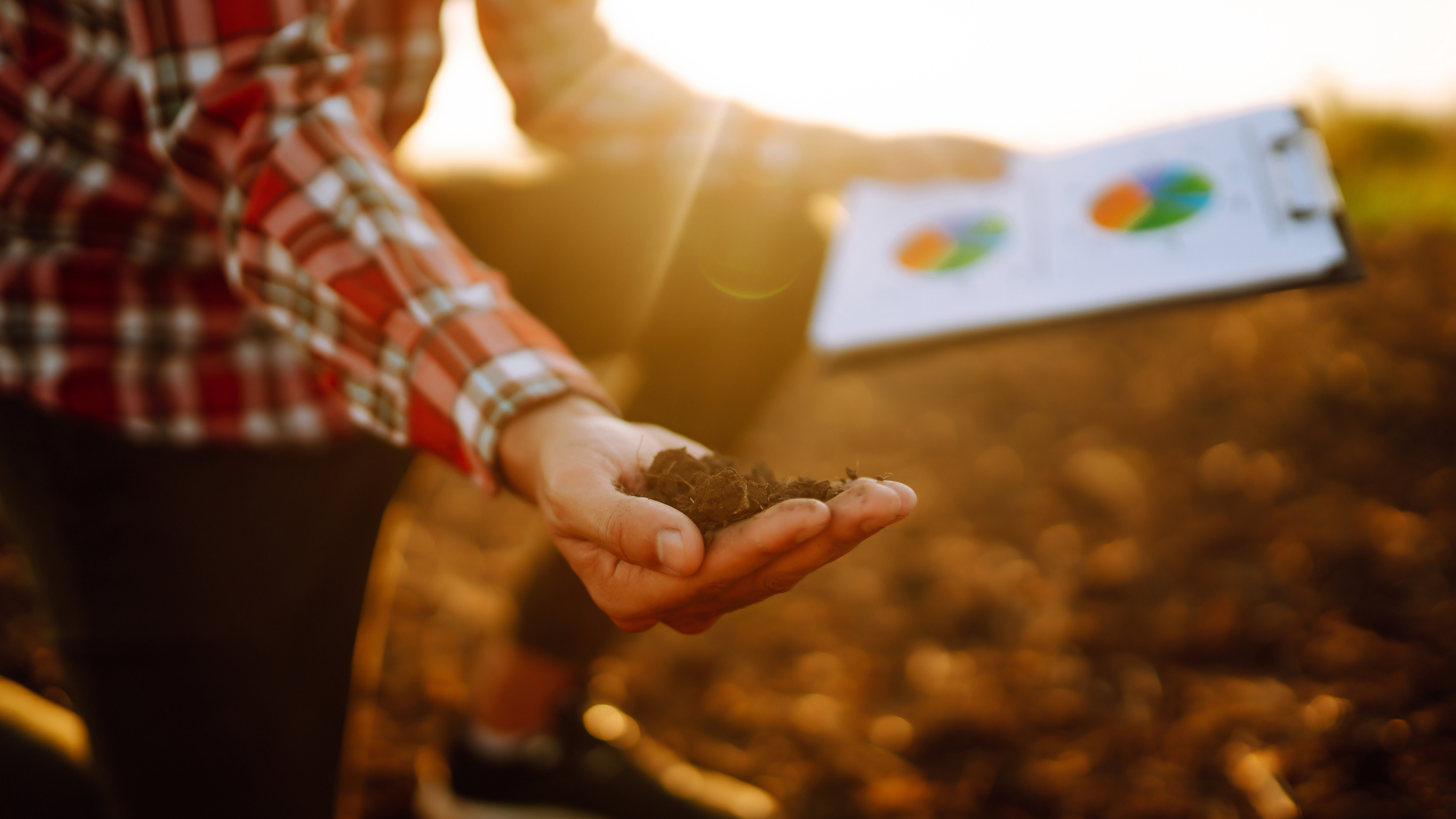 gestão financeira no agro