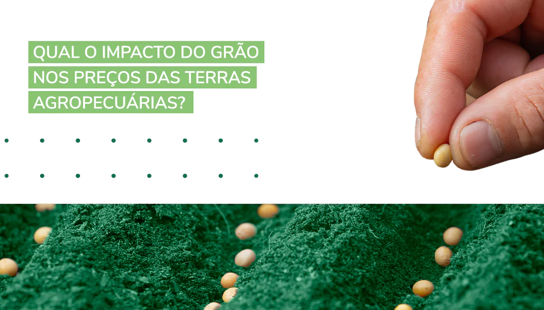 grão nos preços das terras agropecuárias
